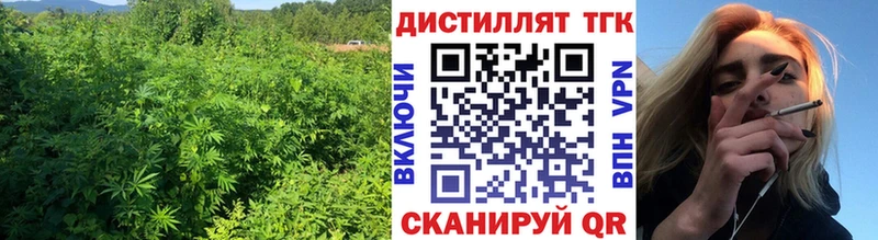 Дистиллят ТГК Wax  купить наркоту  Цимлянск 
