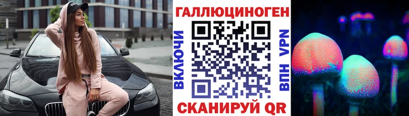 закладка  Цимлянск  Псилоцибиновые грибы Psilocybe 